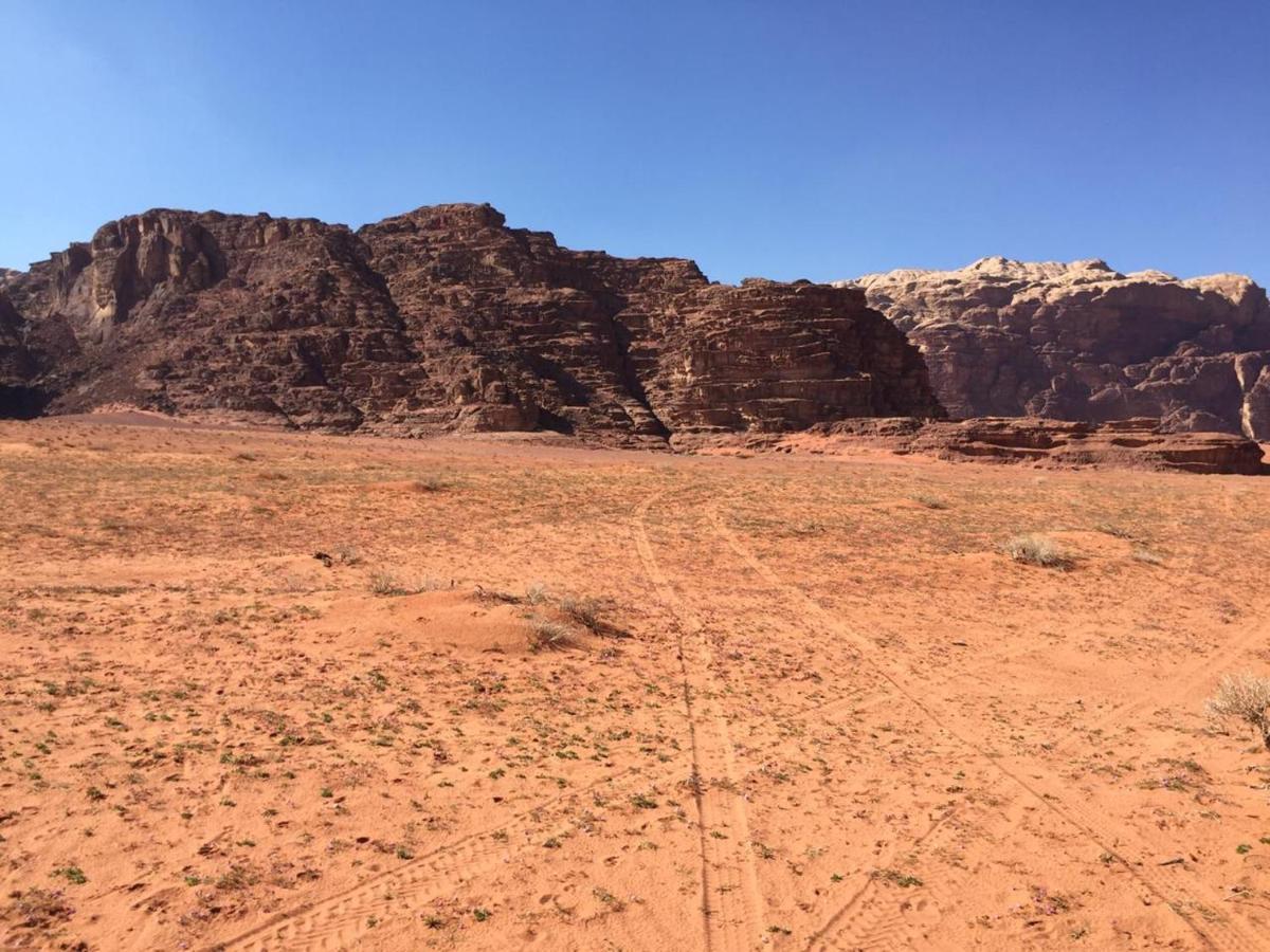 Wadi Rum Bedouin Experience Eksteriør billede