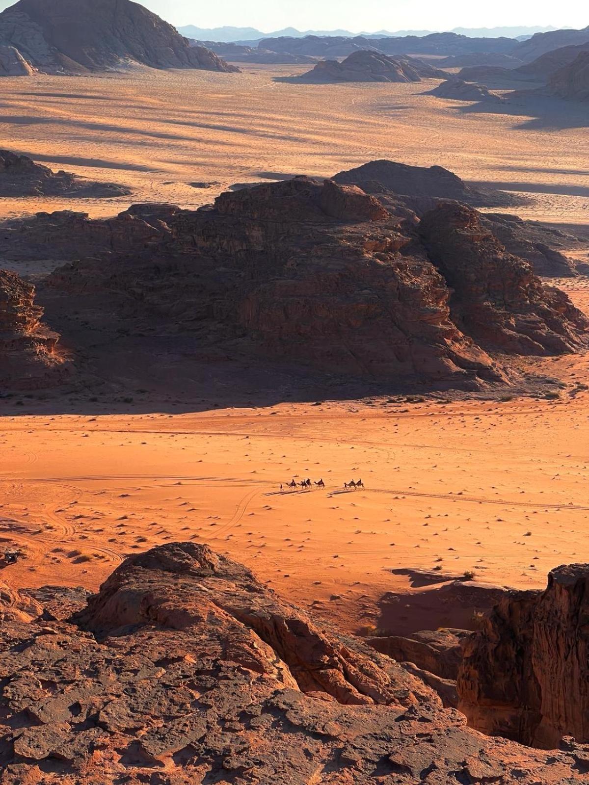 Wadi Rum Bedouin Experience Eksteriør billede